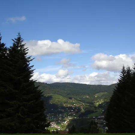 Bed & Breakfast La Ferme Des Granges Le Menil