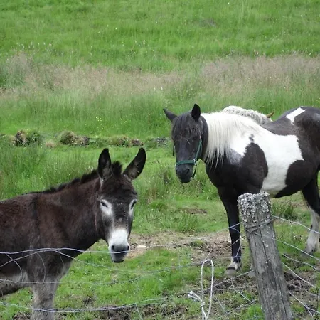 La Ferme Des Granges Bed & Breakfast