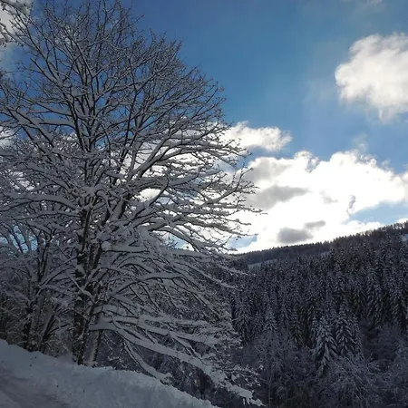 La Ferme Des Granges Bed & Breakfast *
