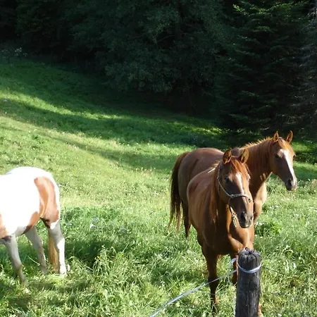 La Ferme Des Granges * Le Menil