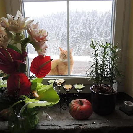 Bed & Breakfast La Ferme Des Granges *