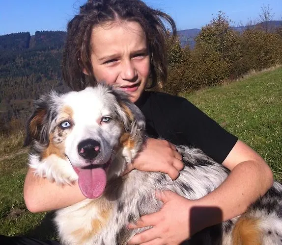 Bed & Breakfast La Ferme Des Granges *