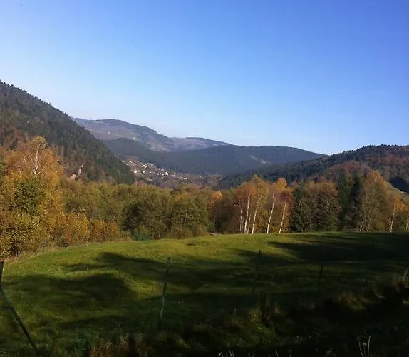 Bed & Breakfast La Ferme Des Granges Le Ménil