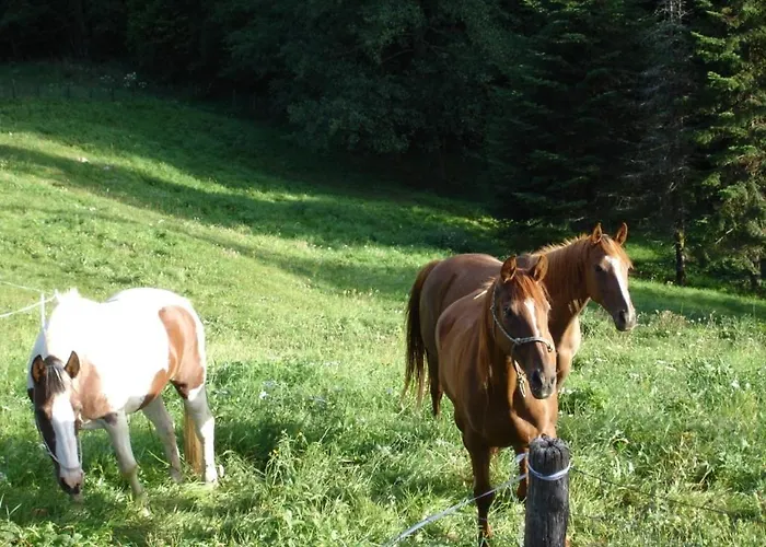 La Ferme Des Granges * Le Ménil