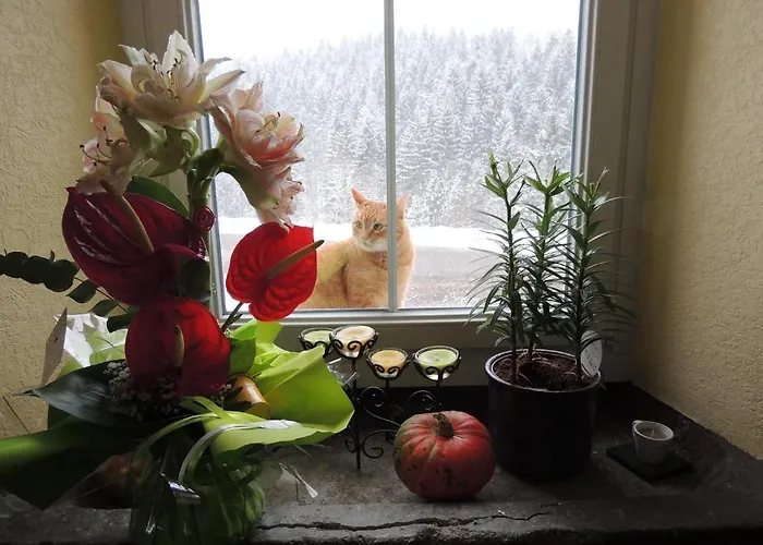 Bed & Breakfast La Ferme Des Granges *